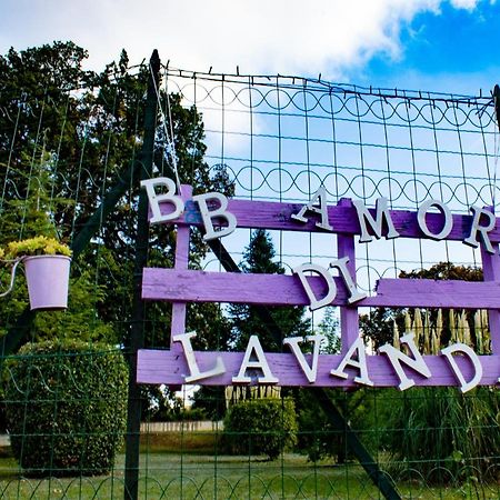 Amor Di Lavanda Cingoli Exterior foto